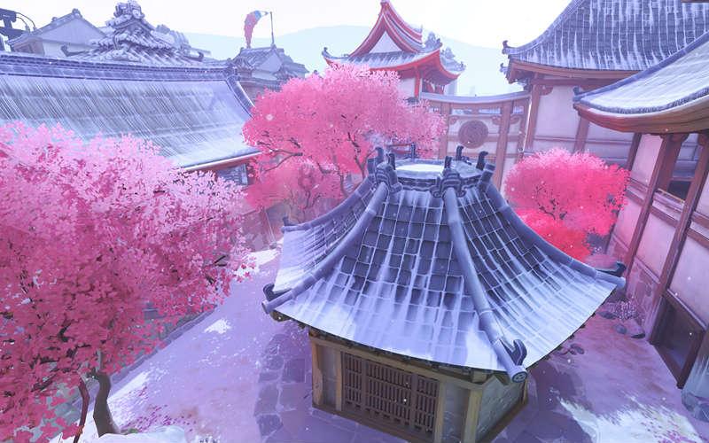 营救小乌龟